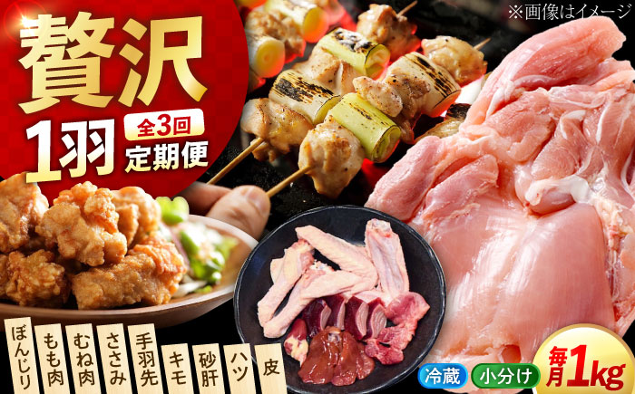 【全3回定期便】 うまさが違う！ せとうち育ちの江田島産地鶏 一黒シャモ　一羽パック(合計約1kg) 鶏 人気 肉 グルメ ギフト 取り寄せ プレゼント 広島県産 江田島市/ポーク＆チキン江田島 [XAH005]