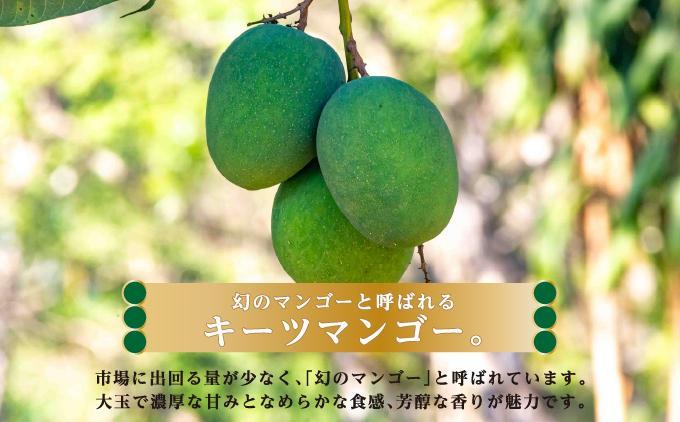 キーツマンゴー2kg  贈答用 ２kg  