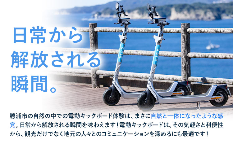 BIRD 電動キックボード 3時間 ライド 無料 ギフトコード 株式会社 Mobilco《30日以内に出荷予定(土日祝除く)》千葉県 勝浦市 電動キックボード 送料無料