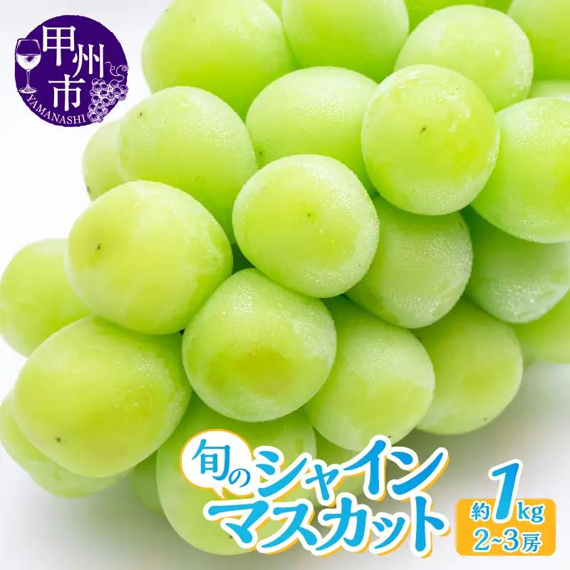 産地直送 山梨自然の恵み！旬のシャインマスカット 2～3房 約1.0kg【2026年発送】（LKS）B-850 シャインマスカット フルーツ