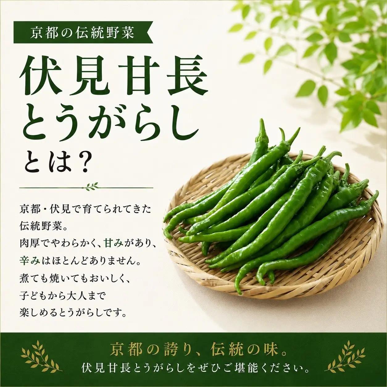 夏の京野菜「3種セット」賀茂茄子・万願寺とうがらし・伏見とうがらし｜やさい　やさい