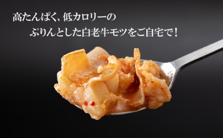 定期便 3ヶ月 白老牛 もつ スンドゥブ 4パック 韓国料理