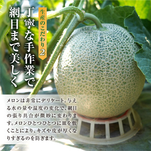 【令和7年産先行予約】北海道産 暑寒メロン  2玉(3.2kg以上 × 1箱)《2025年7月より発送予定》 青肉 果物 フルーツの王様 春 夏 秋 冬 御中元  フルーツ 生ハム パフェ ケーキ デ