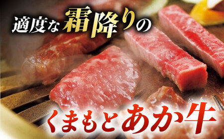 くまもとあか牛サーロインステーキと厳選馬刺しユッケ贅沢セット 計約300g【有限会社 スイートサプライなかぞの】[ZBV093]