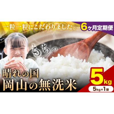 ふるさと納税 矢掛町 【6ヶ月定期便】晴れの国岡山の無洗米 5kg 岡山県産 矢掛町《申し込み翌月から発送》