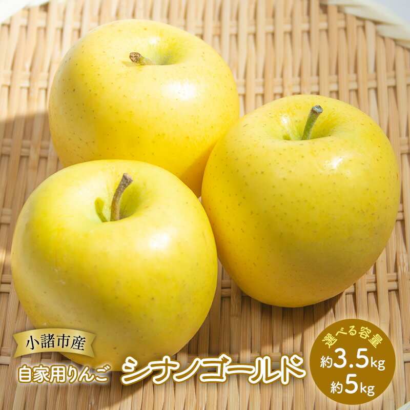 【ふるさと納税】りんご 自家用りんご シナノゴールド 選べる容量 (約3.5kg～約5kg) 信州りんご リンゴ 林檎 果物 くだもの フルーツ 信州 長野　お届け：2025年11月上旬～2026年1月下旬