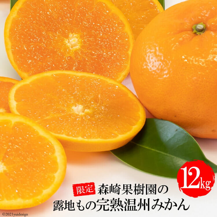 【ふるさと納税】CD002 限定！森崎果樹園の露地もの完熟温州みかん（12kg）[みかん ミカン オレンジ 果物 くだもの フルーツ 露地もの 完熟 温州 長崎県 島原市]