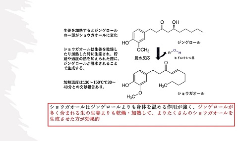 蒸し生姜シロップ濃味2本セット 栽培期間中農薬不使用で自然な美味しさ：B170-012