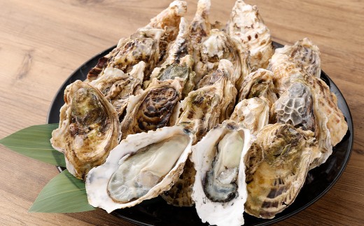 【指定日時必須】 戸石町産 殻付き牡蠣 約4kg（約40個／加熱用） 【2026年12月上旬～2027年3月下旬発送予定】 牡蠣 カキ かき 殻付き 国産 長崎県産 養殖 養殖牡蠣 養殖真牡蠣 ミネラ
