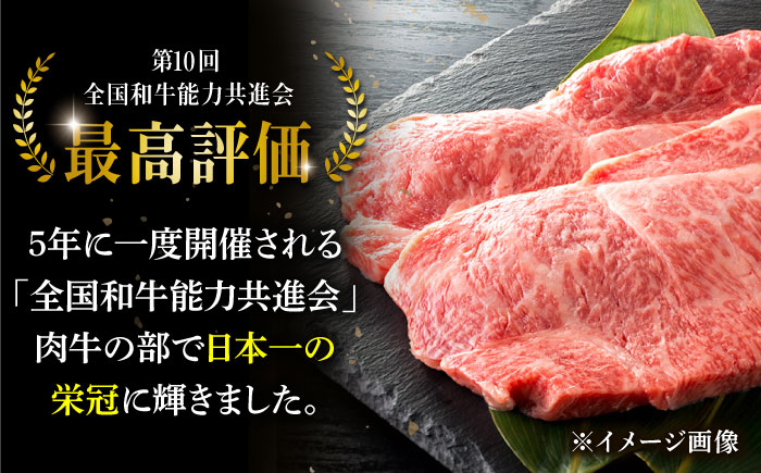 【全12回定期便】幻の和牛 特選平戸和牛サーロインブロック1kg【萩原食肉産業】 [KAD191]