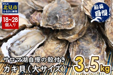 【予約：2024年10月下旬から順次発送】サロマ湖自慢の殻付きカキ貝 大 3.5kg詰め ( 牡蠣 かき 濃厚 大きい 魚介類 貝類 殻付 殻付き牡蠣 BBQ )【114-0010-2024】