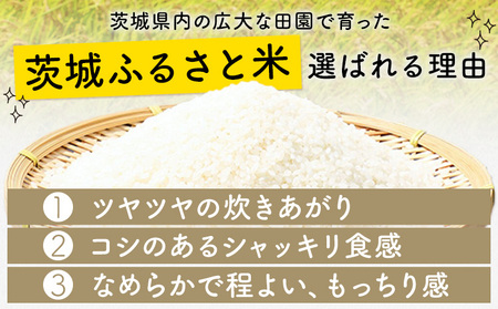 【9ヶ月定期便】米 茨城 ふるさと米 白米 10kg《申込月の翌月より出荷開始》茨城県 河内町 米 国産 お米 おこめ お弁当 おにぎり