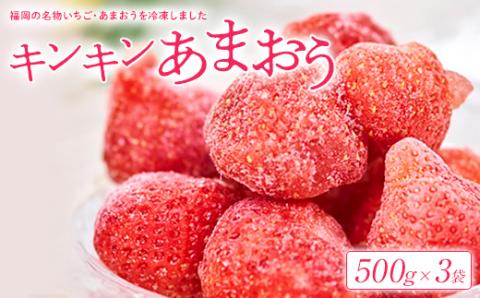 【2024年12月中旬より順次発送】福岡産冷凍あまおう500g×3袋(大野城)【配送不可地域：離島】