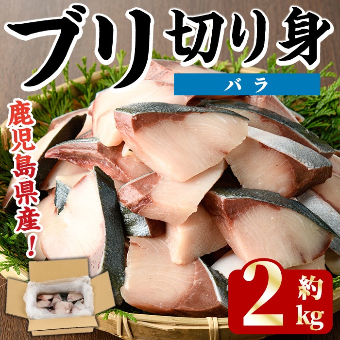 ＜先行予約受付中！2025年11月以降順次発送予定＞ブリの切り身(バラ・約2kg) 国産 鹿児島県産 ブリ 鰤 魚貝 魚介 海産物 焼き魚 煮つけ ブリカツ バラ 【株式会社島水】akn102-02