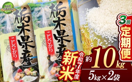 【先行予約】【定期便3回】コシヒカリ10kg（5kg×2袋）【栃木県共通返礼品】 | 米 こめ コメ kome 白米 精米 お米 こしひかり ｺｼﾋｶﾘ 新米 栃木米 令和7年度米 令和7年度 2025年度米 2025年度 ブランド米 栃木県 特産品 送料無料 栃木県 下野市 しもつけ市