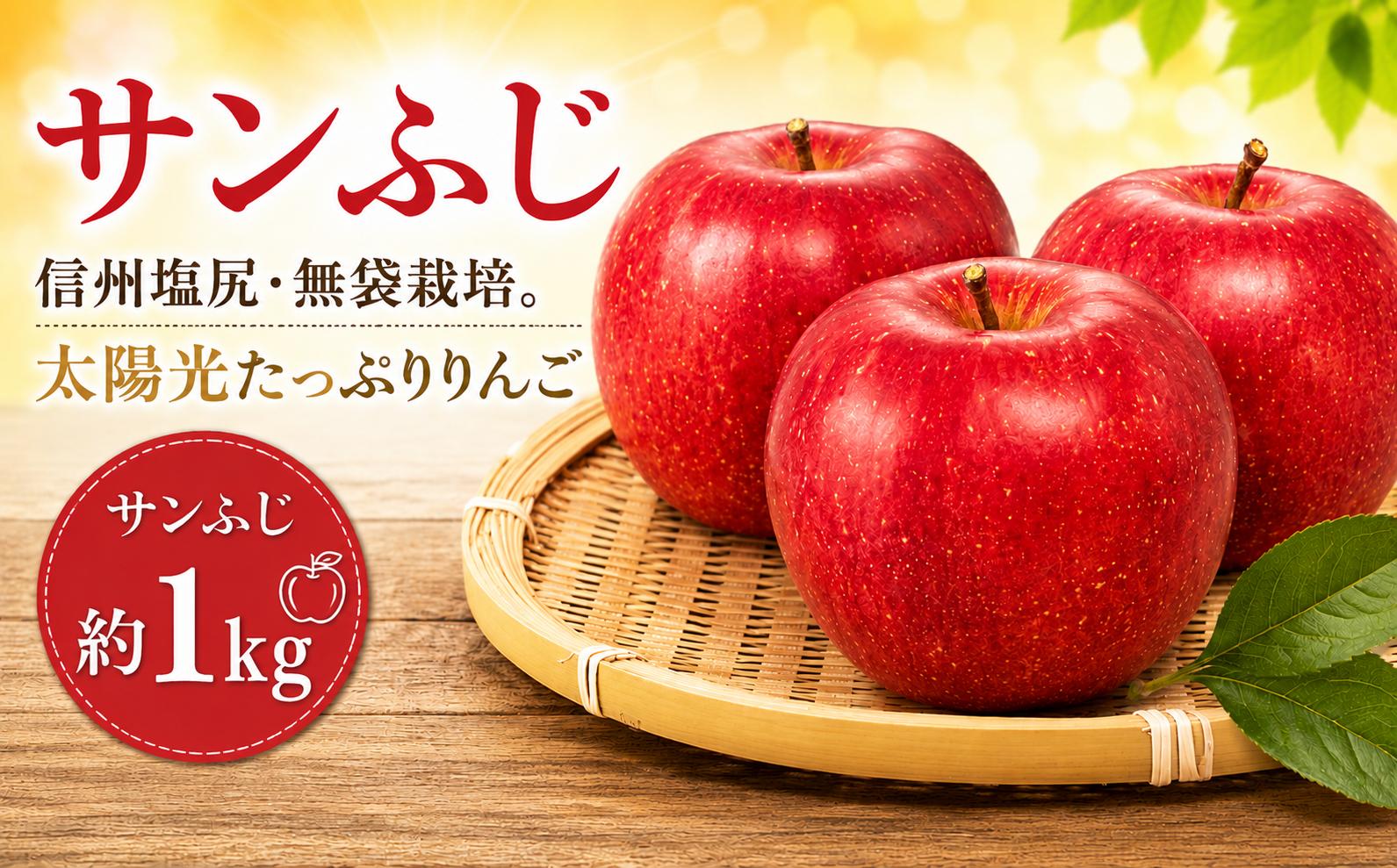 
                  【2026年先行予約】信州塩尻産 サンふじ 約1kg ｜ 先行受付 果物 くだもの フルーツ サンふじ りんご 赤 林檎 信州 長野県 塩尻市
                