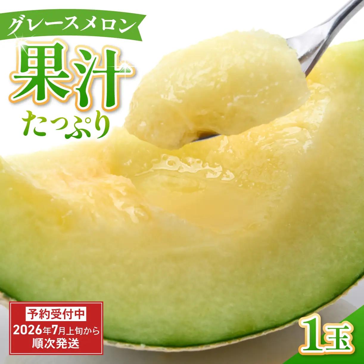 グレースメロン 1玉  フルーツ 果物 贈答用 メロン