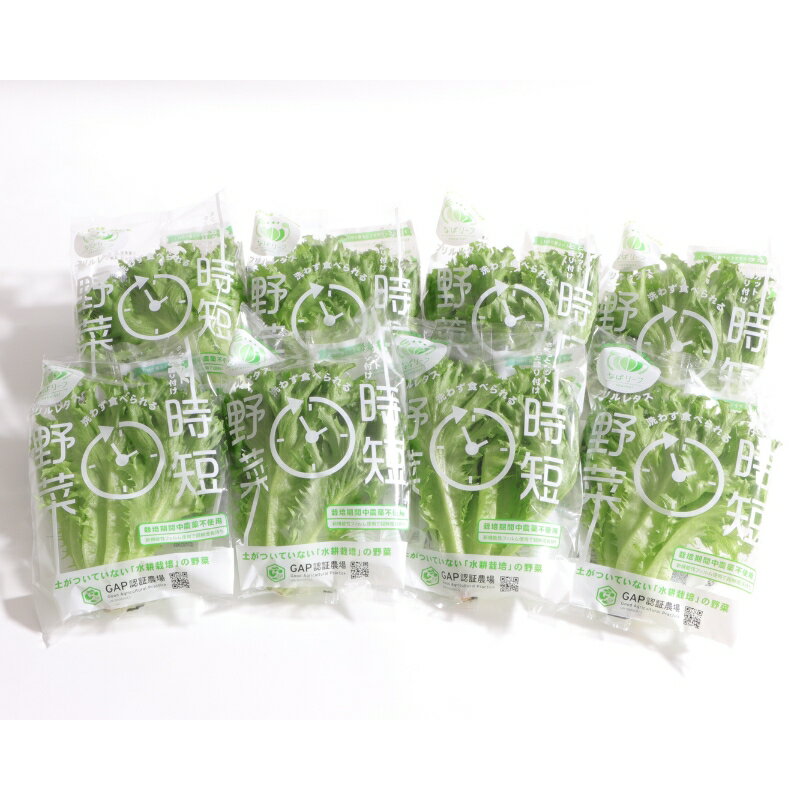 【ふるさと納税】なばリーフ　フリルレタスパック【8p入/時短野菜特殊フィルム包装】