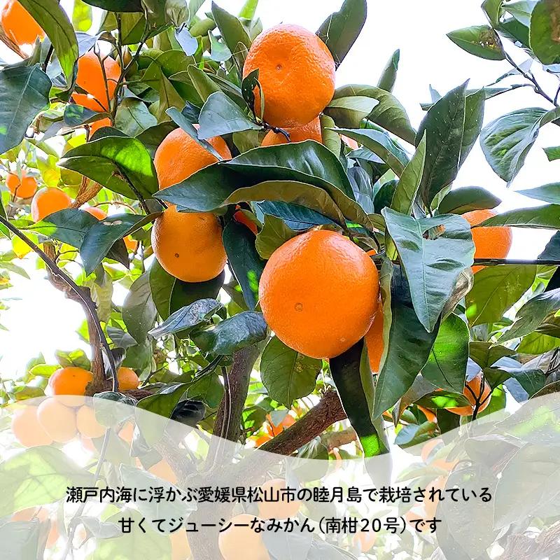 訳あり 家庭用 睦月島 の みかん 約5kg | わけあり みかん 【2026年12月上旬頃から順次発送】 【HYN004】