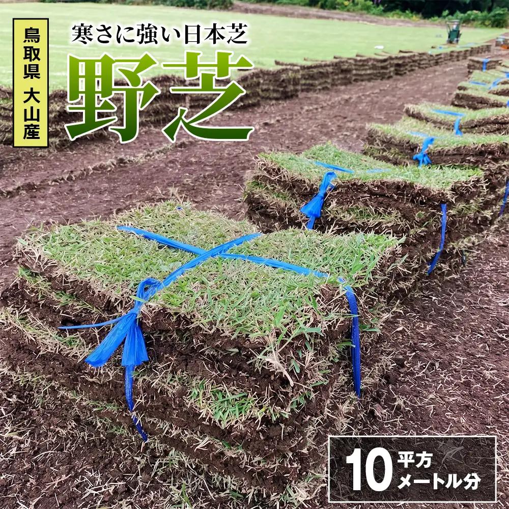 YG-02　寒さに強い日本芝「野芝」10平方メートル分