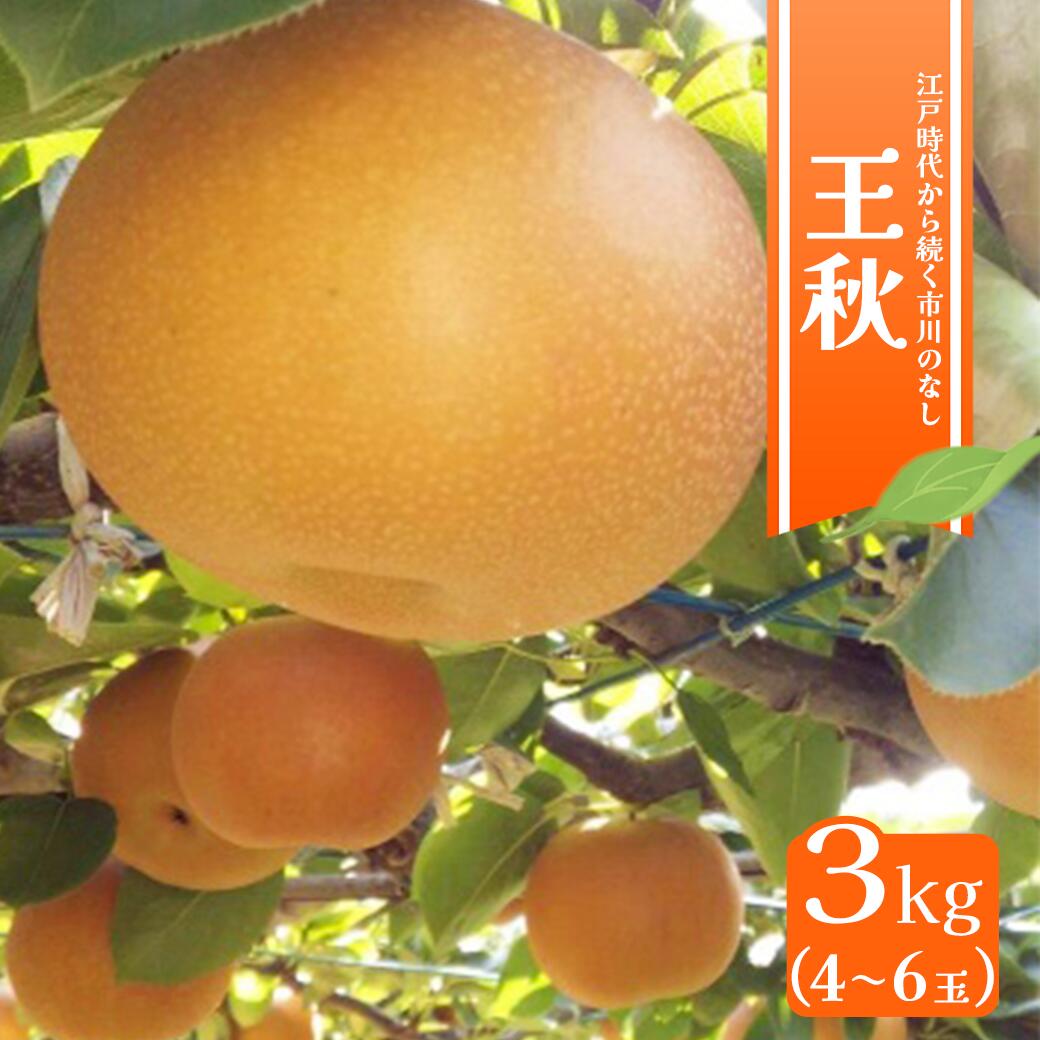 【ふるさと納税】市川の梨　王秋3キロ(4～6個入り）　【12203-0201】