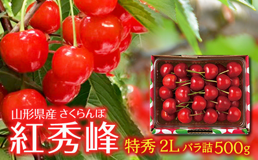 
                  【山形の極み】贈答用 山形県産 さくらんぼ 紅秀峰 500g 特秀 2L バラパック詰め 2026年6月下旬から順次発送 F2Y-5665
                