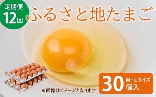 
            卵 【12ヶ月定期便】ふるさと地たまご計360個（30個×12回）1回あたり5個破損補償含む
          