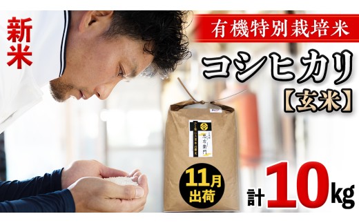 令和8年産・新米 ＜ 11月出荷 ＞ 玄米 10kg 三百年 続く農家 の 有機特別栽培米 コシヒカリ 有機栽培 農創 米 こめ コメ ごはん ご飯 精米 白米 国産 茨城県産 おいしい 新生活 プレゼント 新生活応援 必要なもの 便利 おすすめ 消耗品 一人暮らし 二人暮らし 必要