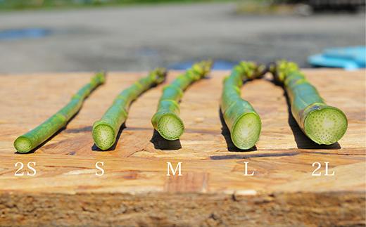 【令和8年産先行予約】美瑛町幻のアスパラ　本山農場のラスノーブル（グリーンアスパラ）Lサイズ2kg[022-39]