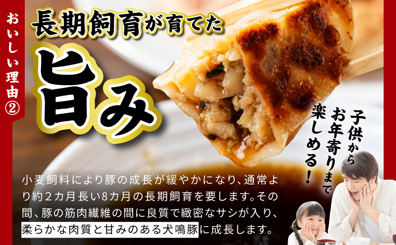 【泉佐野ブランド豚】犬鳴豚餃子 100個【国産 豚肉 ぶたにく 犬鳴ポーク 焼くだけ 人気 総菜 冷凍】 099H4477