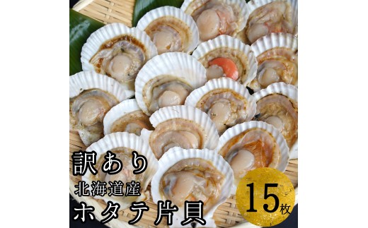 【訳あり】ほたて片貝 15枚入り ウロ処理・洗浄済み殻付きほたて 下処理済 バター焼き ご飯 冷凍 旬 おつまみ 海鮮 せたな町 ふるさと納税