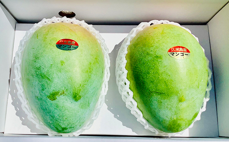 【2024年発送】久米島印商店 久米島産キーツマンゴー 約2kg