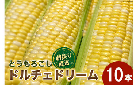 【先行予約】とうもろこし ドルチェドリーム 10本 [マルヨシ園芸 山梨県 中央市 21470552] 朝採り 新鮮 期間限定 トウモロコシ 甘い ジューシー 野菜 農家直送 【2026年6月下旬～7月上旬発送予定】