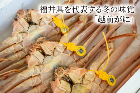 【先行予約/11月7日より順次発送】朝ゆで 越前がに1杯　【800g】 / ずわいがに 蟹 ズワイガニ 小浜市 / 小浜海産物 【配送不可地域：北海道・沖縄・離島】 [BFAA002] 