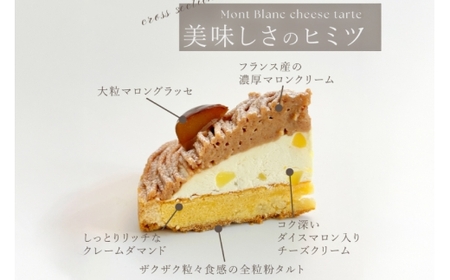 ケーキ タルト 8種 食べ比べ 1ホール分 18cm