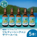 【ふるさと納税】クラフトビール 塩 ソルティ シークニン 330ml 5本 家飲み ビール 地ビール 瓶ビール 鹿児島 奄美大島 送料無料