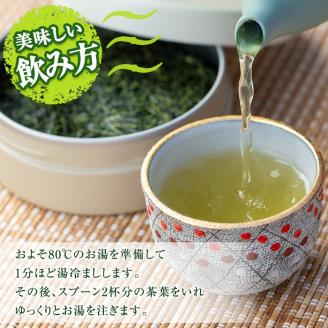 B05 上級煎茶「霧島山麓湧水茶」(5袋・1袋100g) 国産 九州産 鹿児島県産 やぶきた おくみどり さえみどり 茶さじ付き 茶葉 お茶 おちゃ 日本茶 一番茶 新茶 真空パック ギフト 贈答 プ