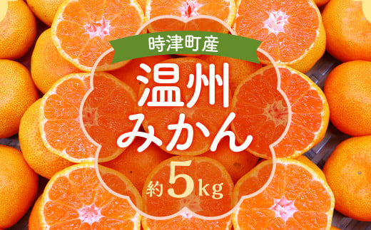 時津町特産 温州みかん 約5kg 糖度が高くなる時期のみお届け！【時期厳選】【2024年12月上旬～2025年1月下旬迄発送予定】