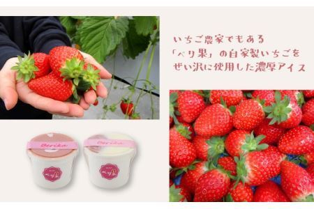 自家製カップアイス2種セット（いちご 6個 & みっくす 6個） [A-045002]