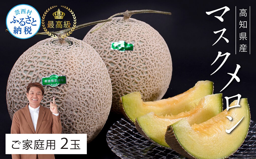 
“高知県産”高級マスクメロン（ご家庭用）2玉入【発送期間：4月～12月（9カ月）】【1月～3月は気候温度不安定の為出荷不可となります。】〈南国市共通返礼品〉
