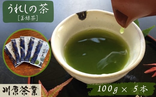 嬉野茶　１００ｇ×５本セット（A6309-08）