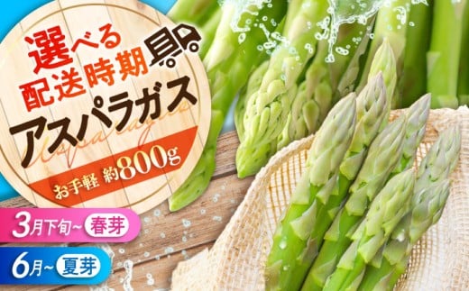 【先行予約】アスパラガス 夏芽 （約800g） ＜6月上旬頃から順次発送＞ 朝採れ 夏芽アスパラガス とれたて アスパラ 旬 野菜 春野菜 夏野菜 あすぱら 旬 野菜 新鮮 朝どれ 食材 栄養 天ぷら おかず 産地直送 農家直送 広島県産 特産品 国産 広島 三次 みよし 産地直送 お取り寄せ 贈り物 ギフト 贈答品 絶品 銘品 朝 春芽 三次グルメ 三次市/福分アスパラ [APAU002]