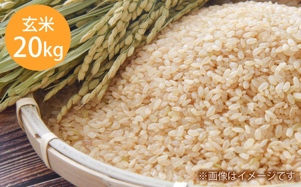 
                  令和7年産 岡山県倉敷市産 きぬむすめ 玄米 20kg【2025年10月上旬より発送開始】
                