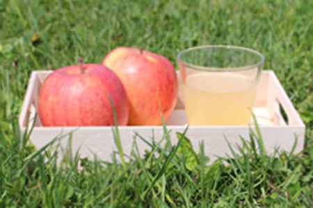 青森県産　無添加りんごジュース　180ml×10本