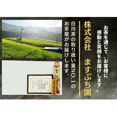 ふるさと納税 白川町 白川茶定期便　全4回コース |  | 03