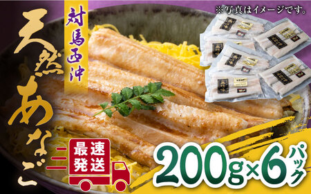 対馬産 西沖あなご 200g×6パック あなご 穴子 アナゴ [WAA037] 西沖アナゴ