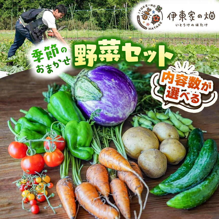 【ふるさと納税】【選べる内容量】野菜セット(3~12品種) | 下野市 旬野菜 詰め合わせ 野菜セット 地元野菜 栃木県産 新鮮野菜 産地直送 野菜通販 季節野菜 地場野菜 お取り寄せ 下野市野菜 野菜詰合せ 農薬・化学肥料・動物性肥料不使用 地元農家 栃木野菜 栃木県 下野市