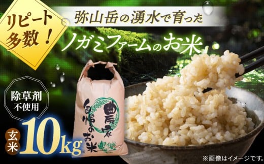 【令和7年産】弥山岳の岩清水で育ったノガミファームのお米 玄米 10kg ▼おいしい もちもち つや 玄米 米 リピート 桂川町/NOGAMI FARM [ADAU010]