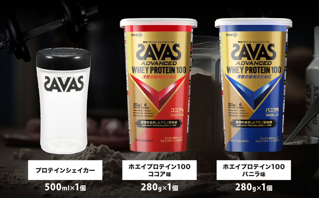 ザバスホエイ100ビギナーライトセット