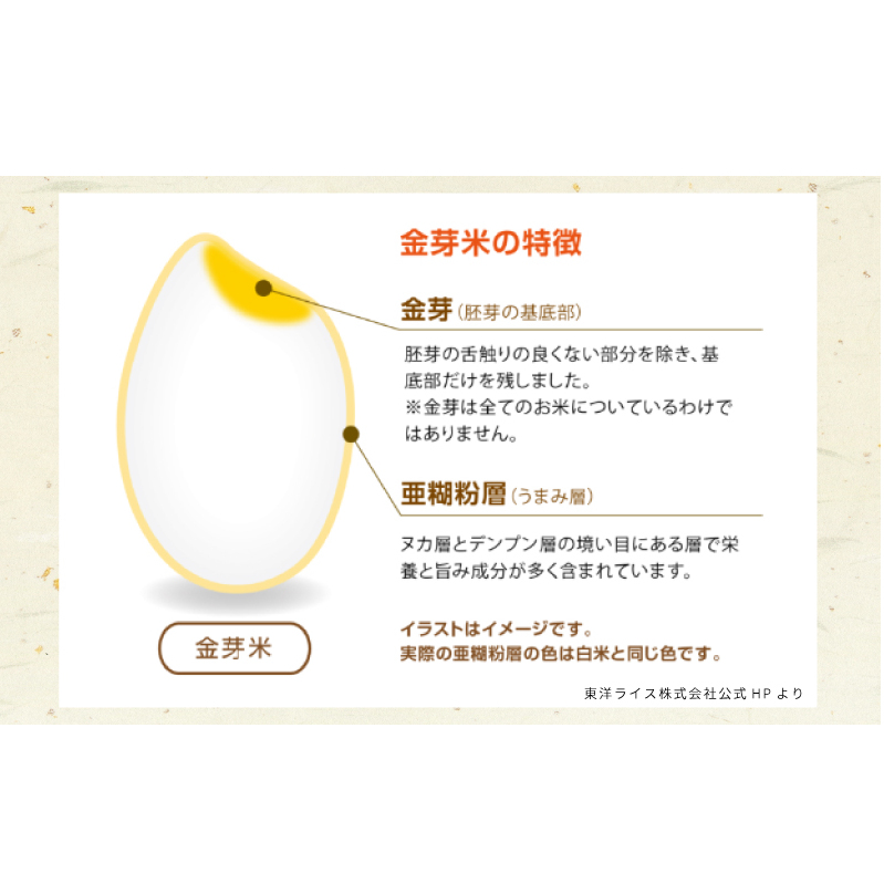 金芽米 4.5kg(無洗米) 【4.5kg×1袋 ご飯 ごはん お米 精米 金芽米計量カップ付】 015B630_イメージ3